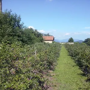Agriturismo Cascina Marinona Induno Olona